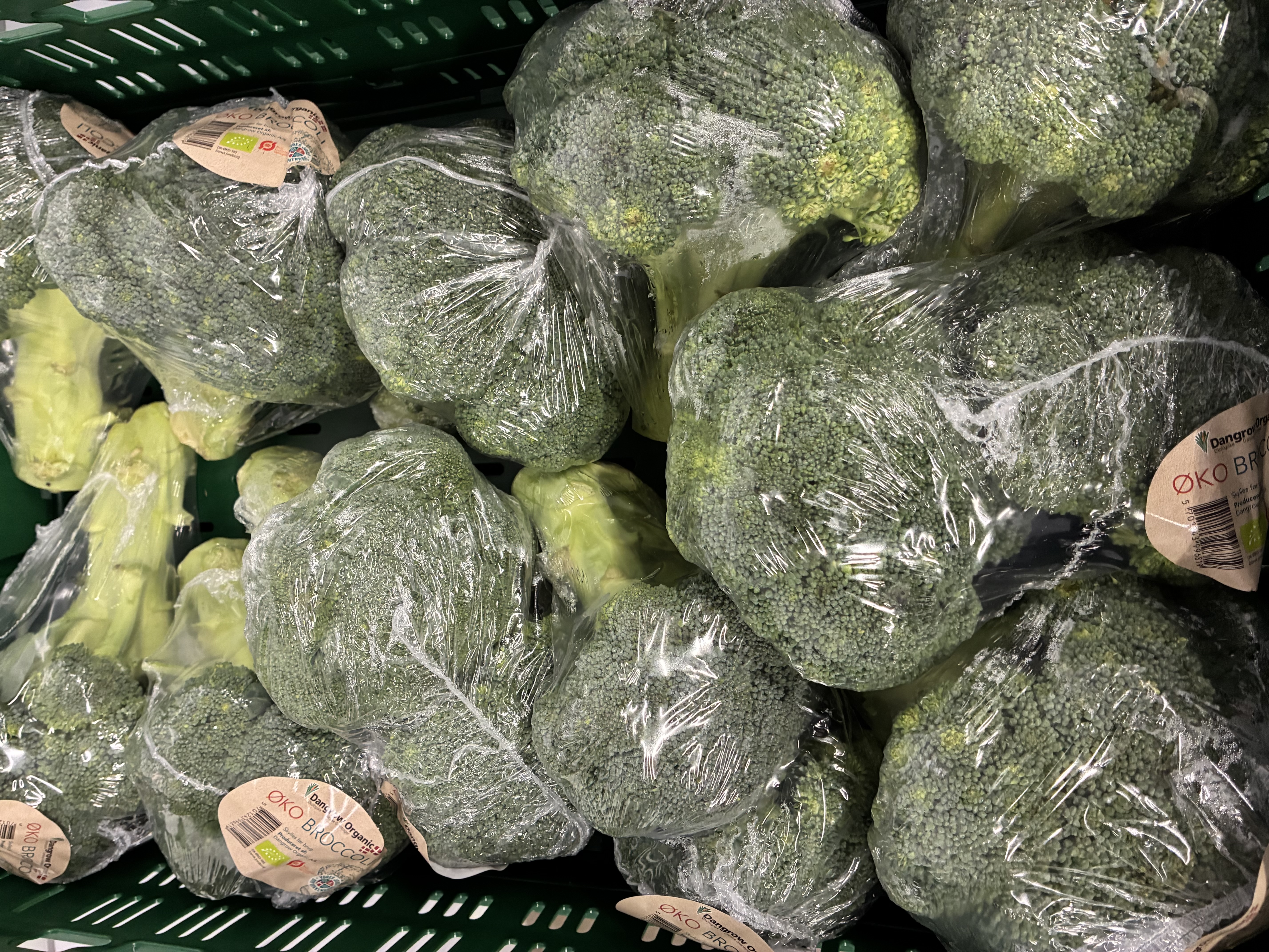 Broccoli